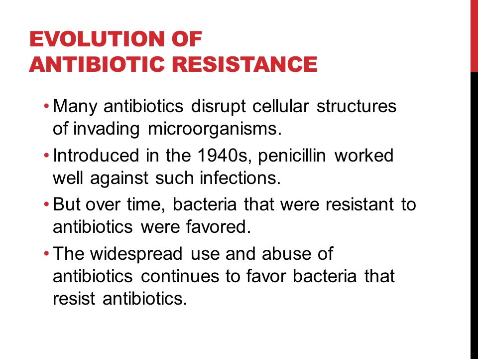 EVOLUTION OF ANTIBIOTIC RESISTANCE Many antibiotics disrupt cellular structures of invading microorganisms.