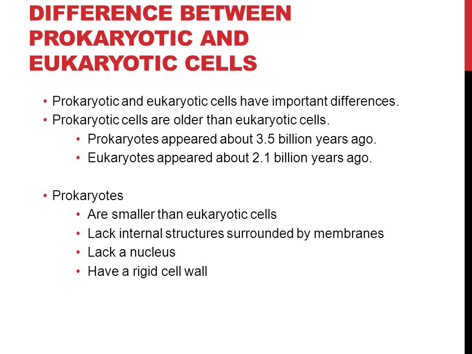DIFFERENCE BETWEEN PROKARYOTIC AND EUKARYOTIC CELLS Prokaryotic and eukaryotic cells have important differences.
