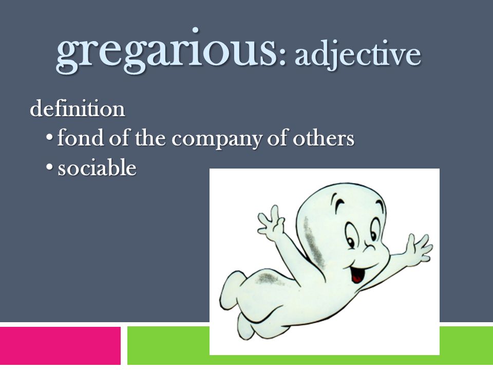 Gregarious Adjective Definition Fond Of The Company Of Others