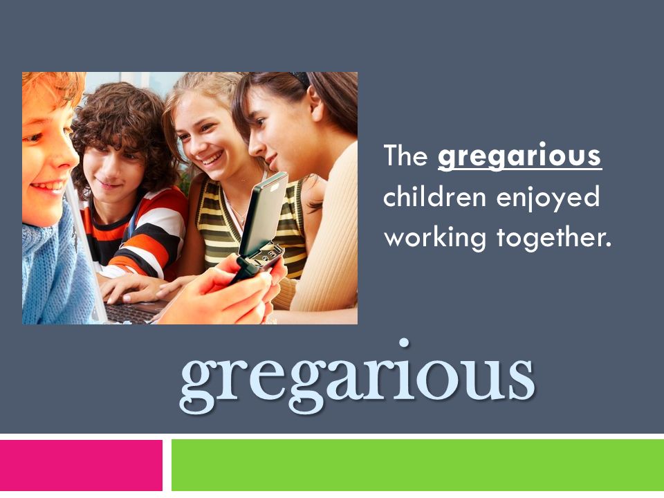 Gregarious Adjective Definition Fond Of The Company Of Others