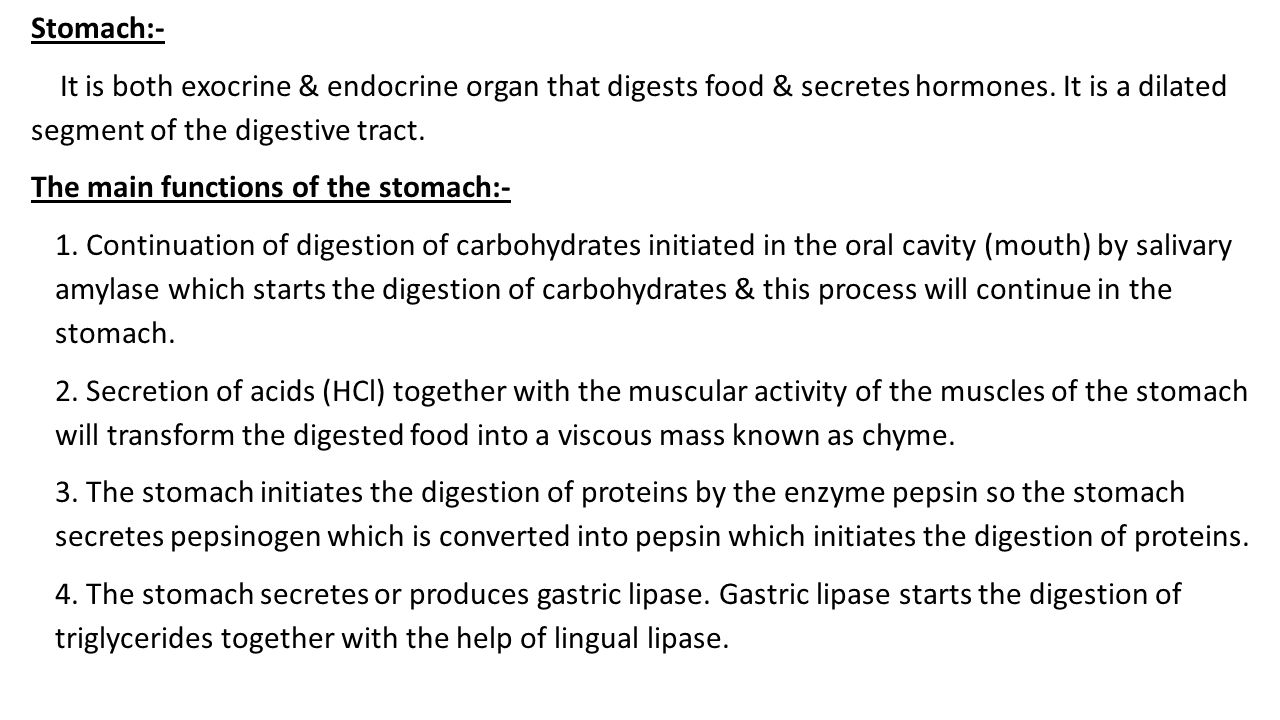Functions of the stomach and structure Functions of the stomach and structure