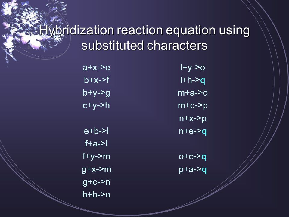 Hybridization Reaction Analysis Eun Jeong Lee Ppt Download