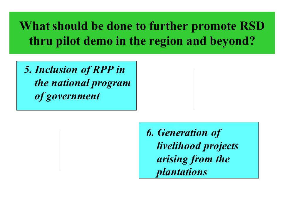What should be done to further promote RSD thru pilot demo in the region and beyond.