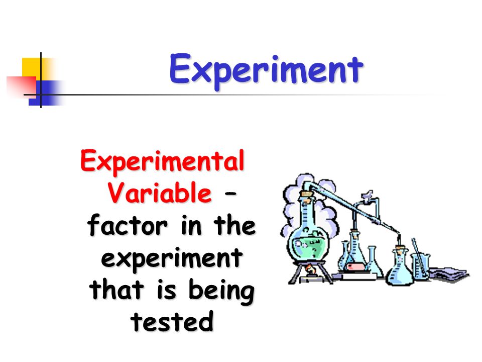 Experiment Experimental Variable – factor in the experiment that is being tested