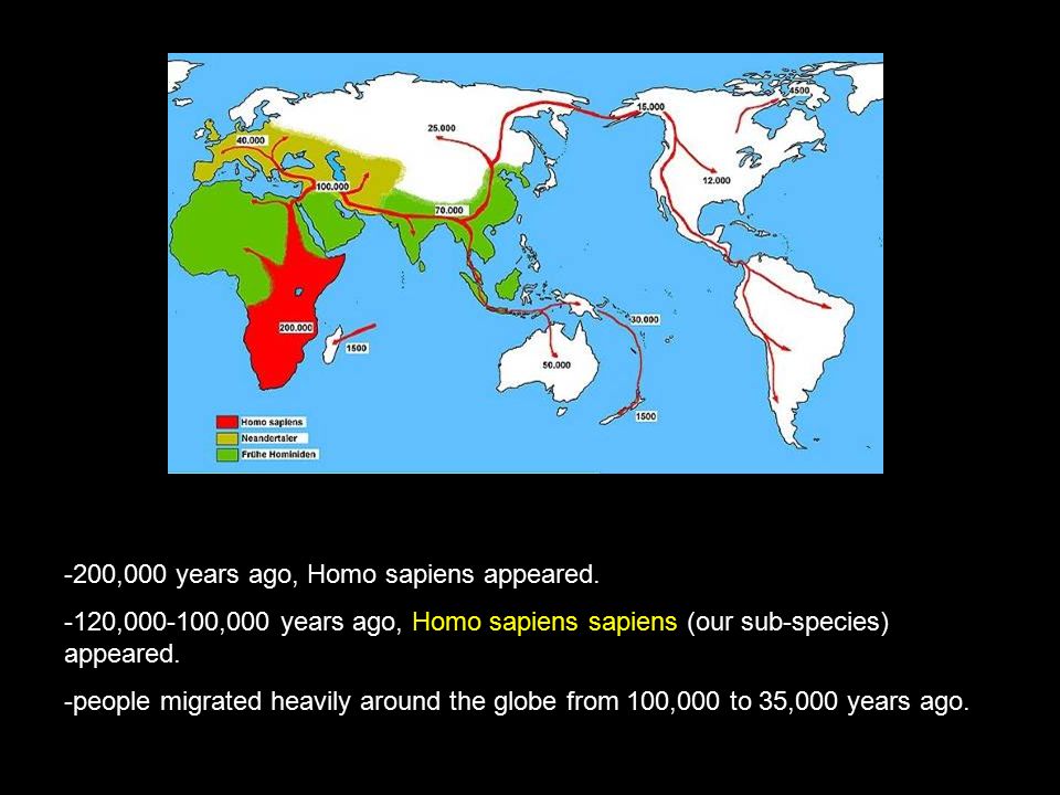 0 000 Years Ago Homo Sapiens Appeared 1 000 Years Ago Homo Sapiens Sapiens Our Sub Species Appeared People Migrated Heavily Around Ppt Download