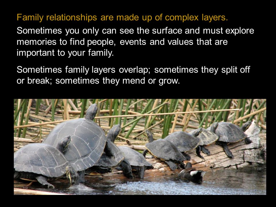 Family relationships are made up of complex layers.