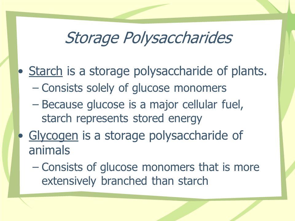 Storage Polysaccharides Starch is a storage polysaccharide of plants.
