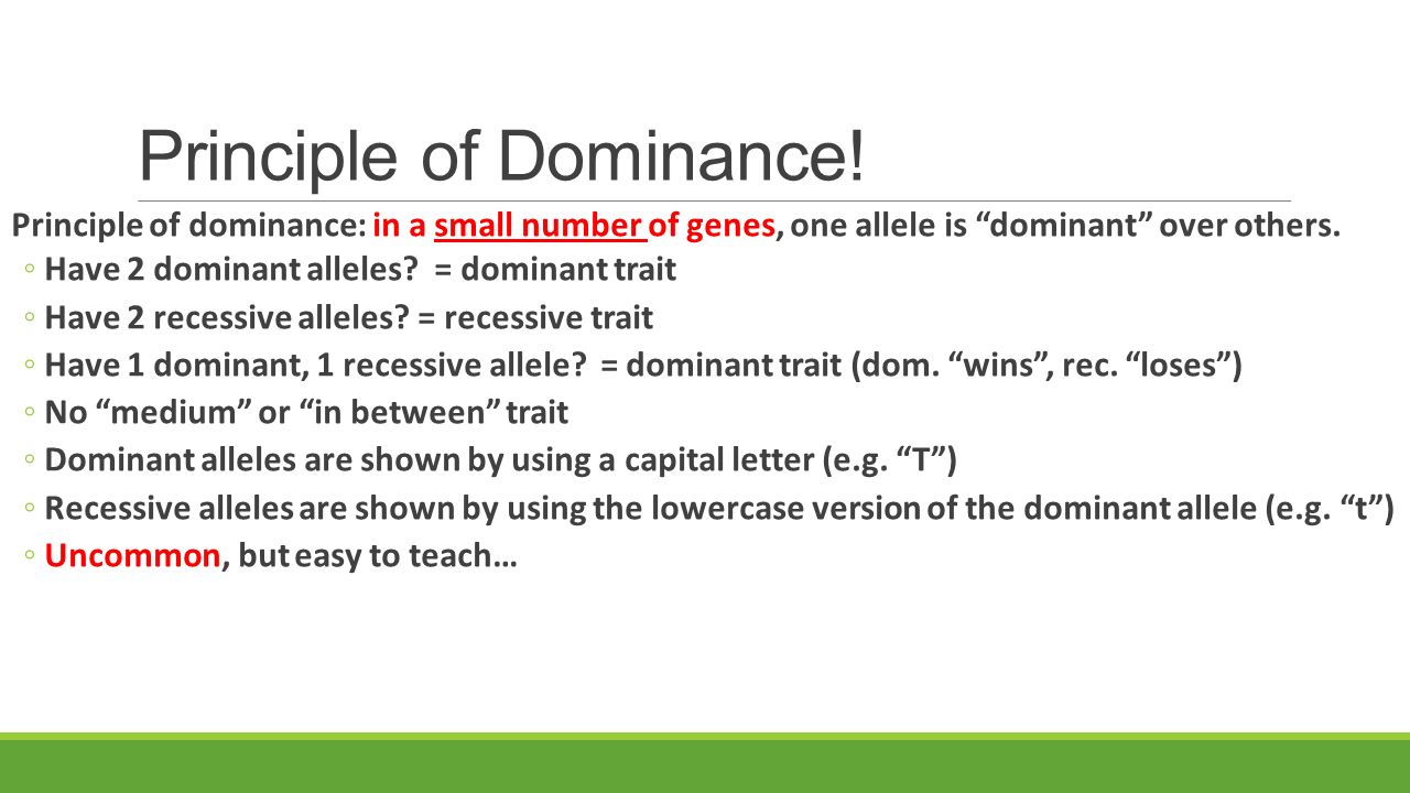 punnett square basics the principle of dominance ppt principle of dominance