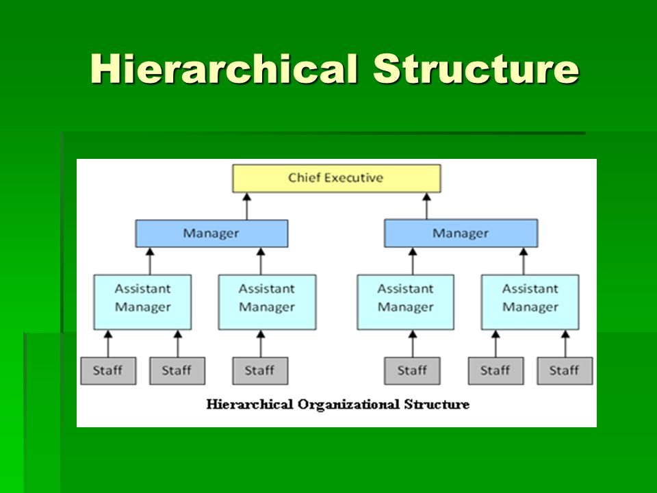 Walmart Corporate Structure Chart