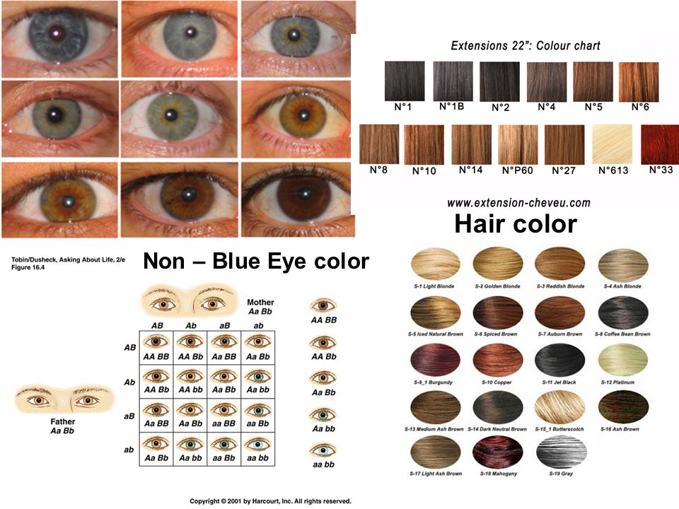 Non – Blue Eye color Hair color