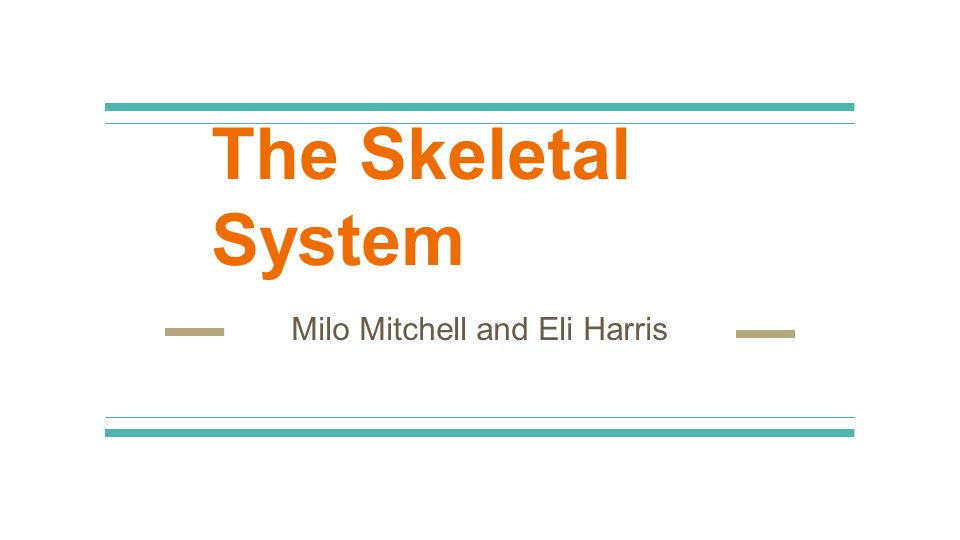 The Skeletal System Milo Mitchell and Eli Harris