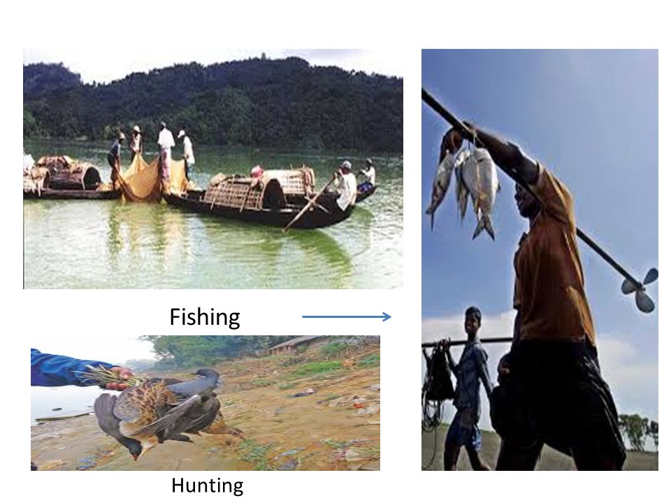 Fishing Hunting