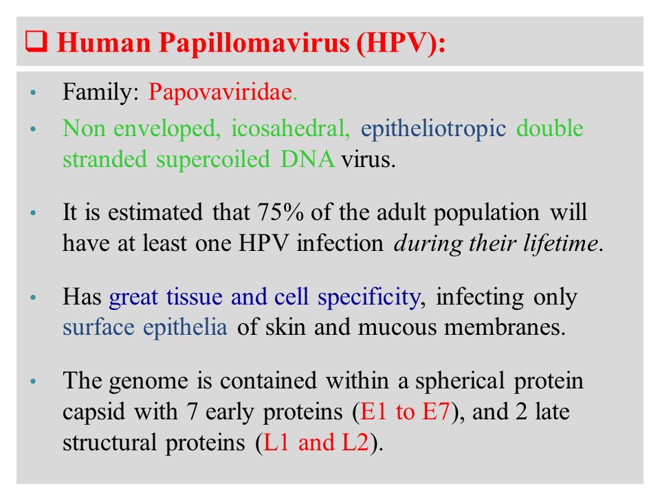 human papillomavirus or hpv family)