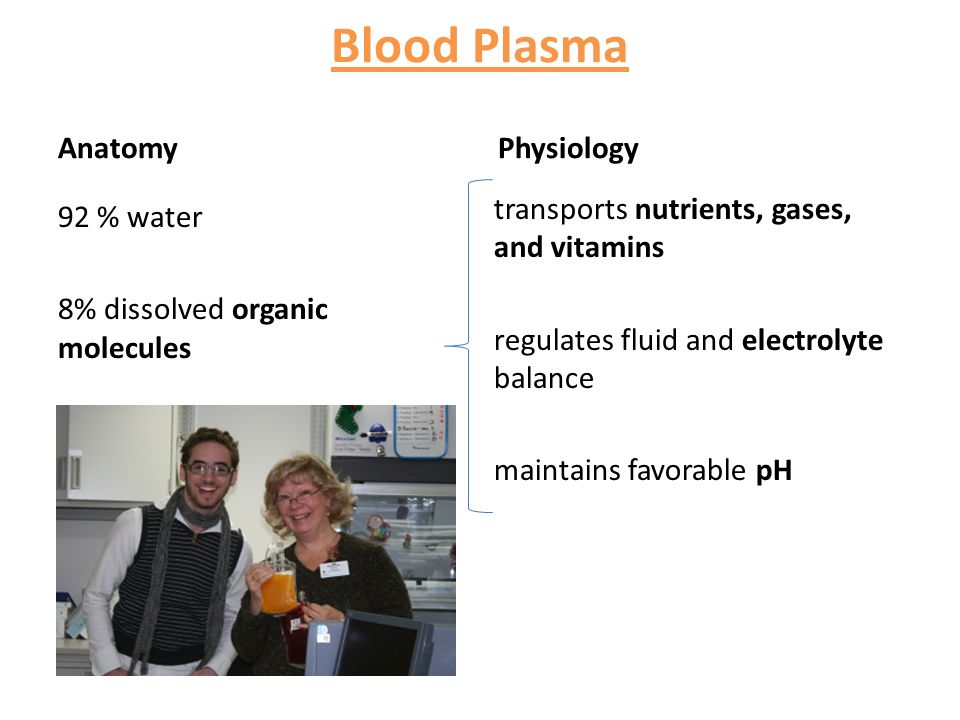 Blood Plasma Anatomy 92 % water 8% dissolved organic molecules Physiology transports nutrients, gases, and vitamins regulates fluid and electrolyte balance maintains favorable pH