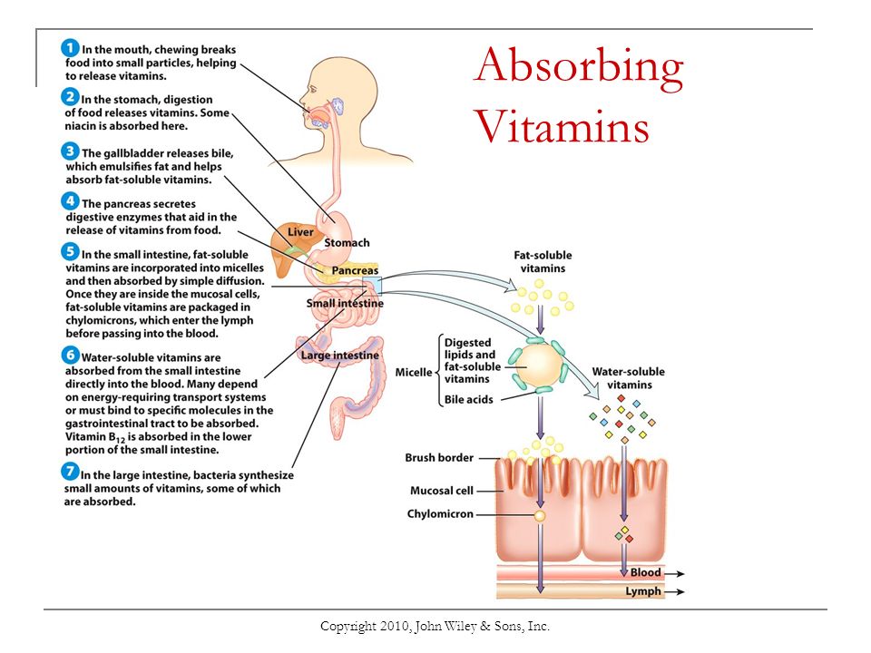 Chapter 7 Vitamins Copyright 2010 John Wiley Sons Inc Water Soluble And Fat Soluble Vitamins Ppt Download