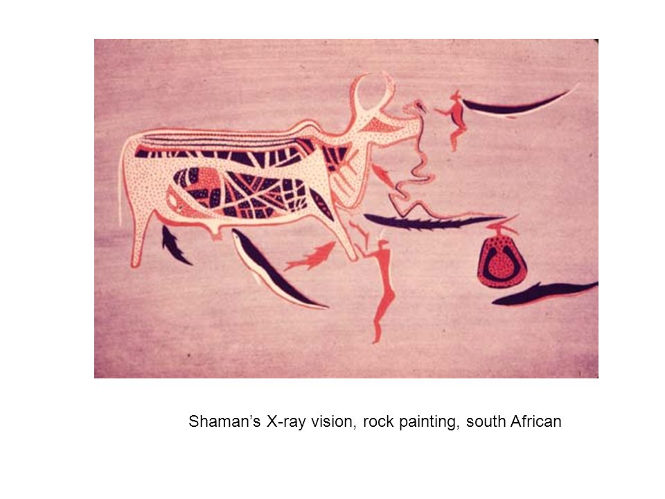 Shaman’s X-ray vision, rock painting, south African
