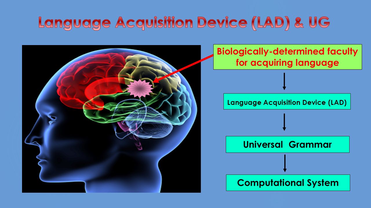 Language device. Language acquisition. Language acquisition device. What is language acquisition?. Acquiring language.