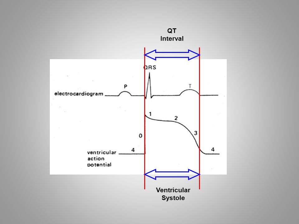 Ventricular Systole QT Interval
