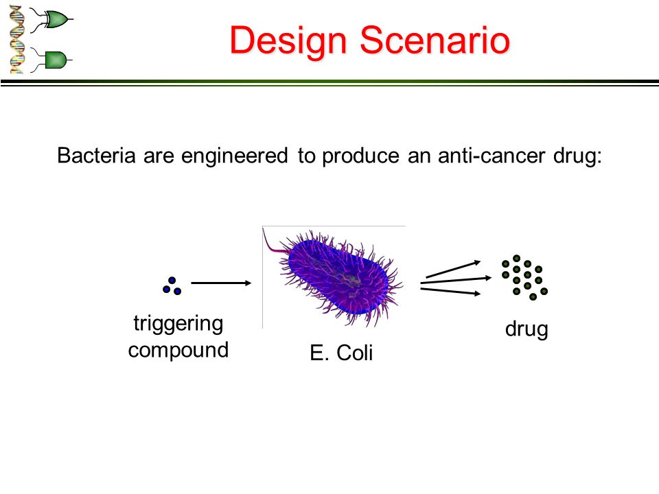 Bacteria are engineered to produce an anti-cancer drug: Design Scenario drug triggering compound E.