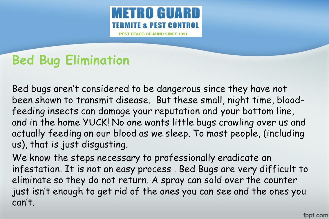 Bed Bug Elimination Bed bugs aren’t considered to be dangerous since they have not been shown to transmit disease.