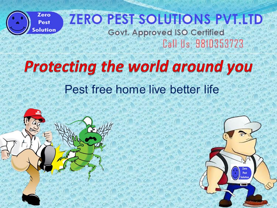 Pest free home live better life