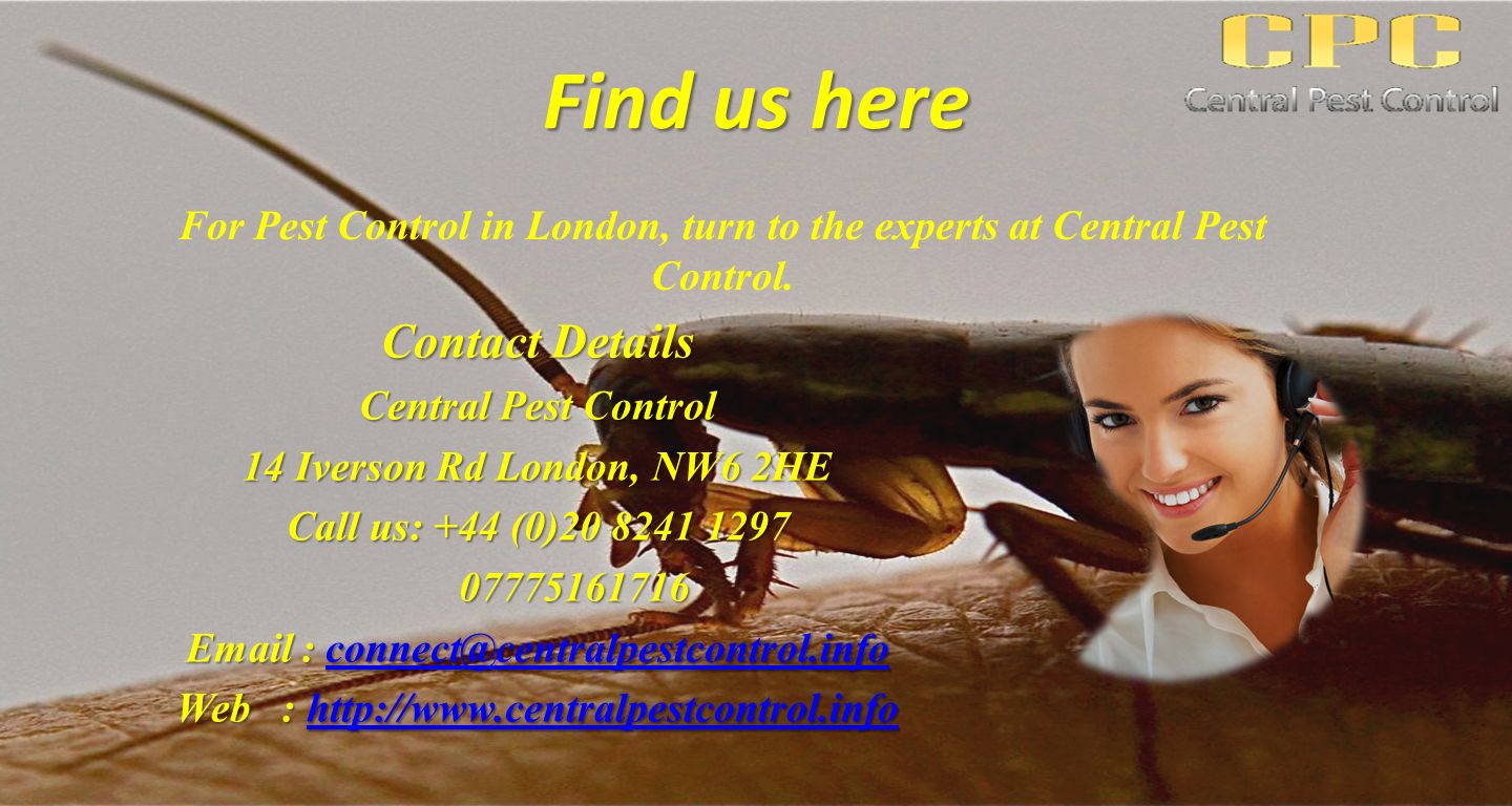 Find us here Contact Details Central Pest Control 14 Iverson Rd London, NW6 2HE Call us: +44 (0) Web :     For Pest Control in London, turn to the experts at Central Pest Control.