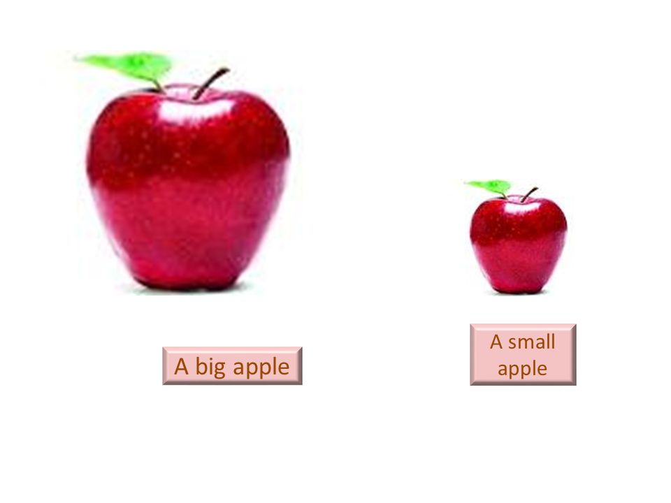 Small big com. Большое и маленькое яблоко. Карточки big small. Big small для детей. Big small картинки для детей.