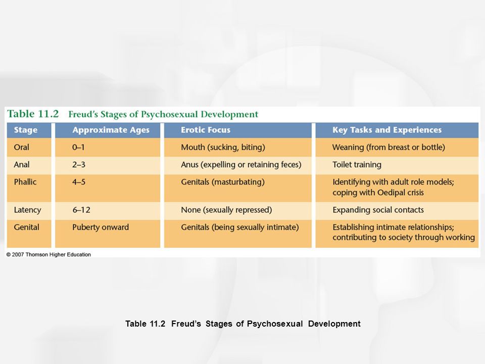 Sigmund Freud Stages Of Development Chart