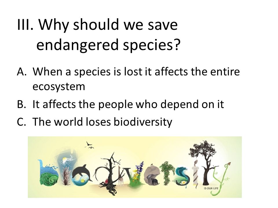 I. What is an endangered species?  in immediate danger of becoming  extinct  is declining  able to replenish itself through  reproduction. - ppt download