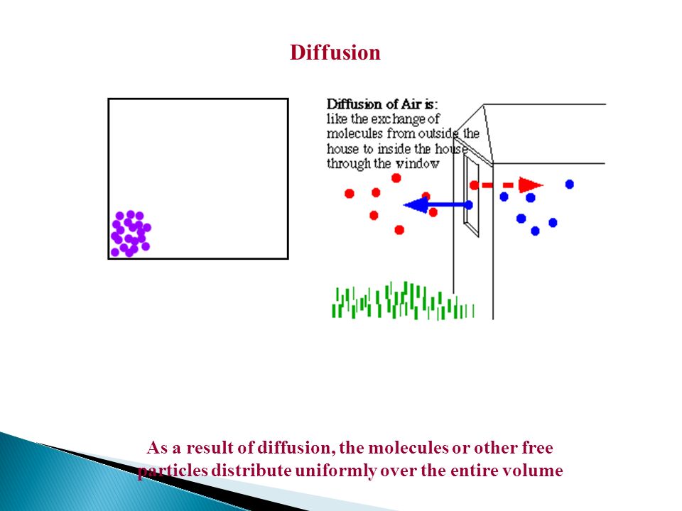 Diffusion As a result of diffusion, the molecules or other free particles distribute uniformly over the entire volume