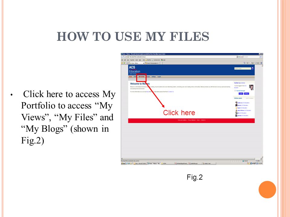 HOW TO USE MY FILES Click here Click here to access My Portfolio to access My Views , My Files and My Blogs (shown in Fig.2) Fig.2