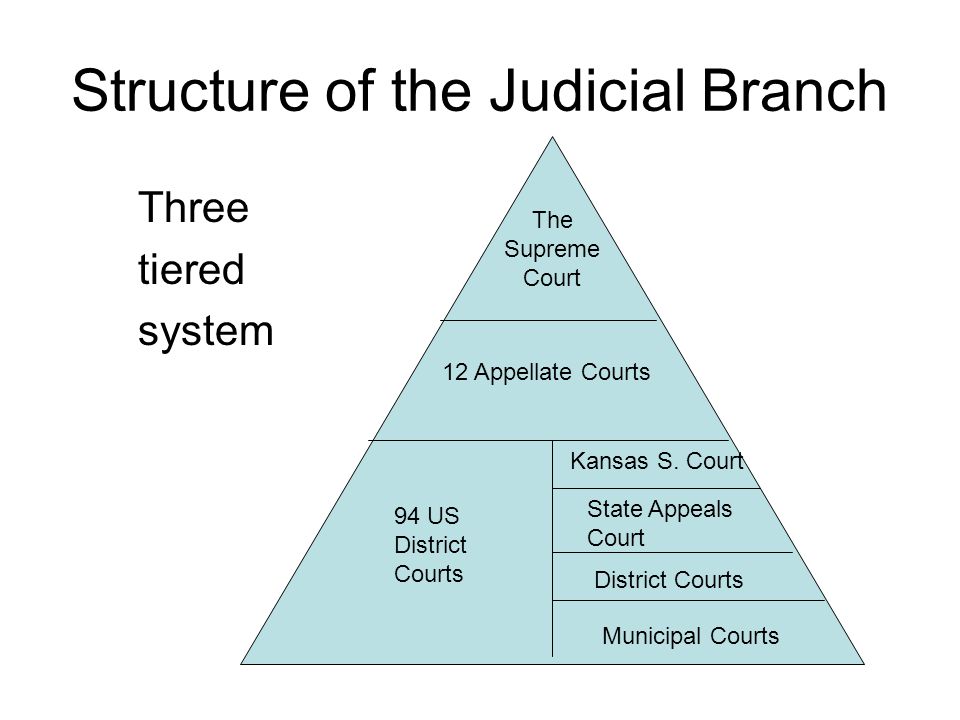 Judicial system. Judicial System of the USA. Us Judicial System. Judicial Branch of the USA. USA Court System.