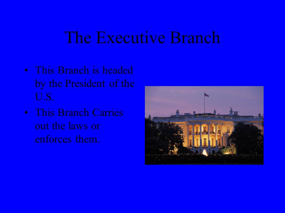 The Executive Branch This Branch is headed by the President of the U.S.