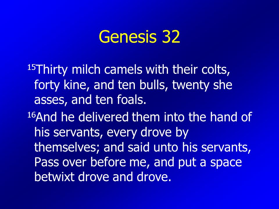 Genesis Thirty milch camels with their colts, forty kine, and ten bulls, twenty she asses, and ten foals.