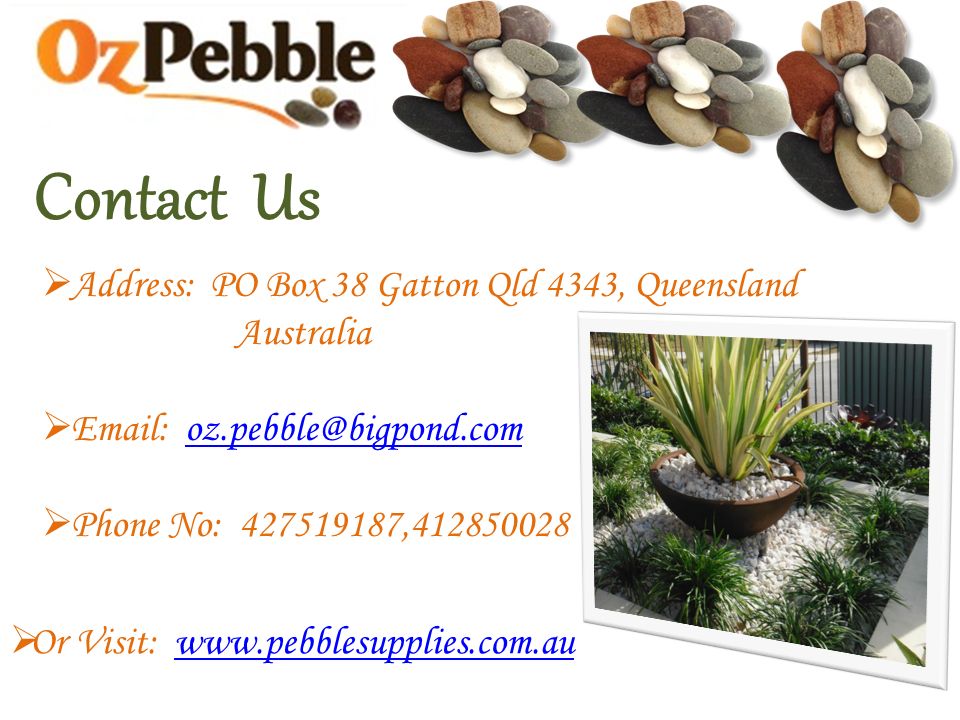 Contact Us  Address: PO Box 38 Gatton Qld 4343, Queensland Australia     Phone No: ,  Or Visit:
