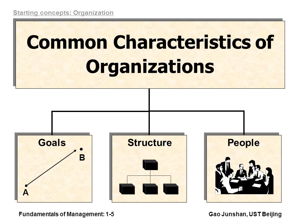 11 Characteristics of Organizing Function- BokasTutor