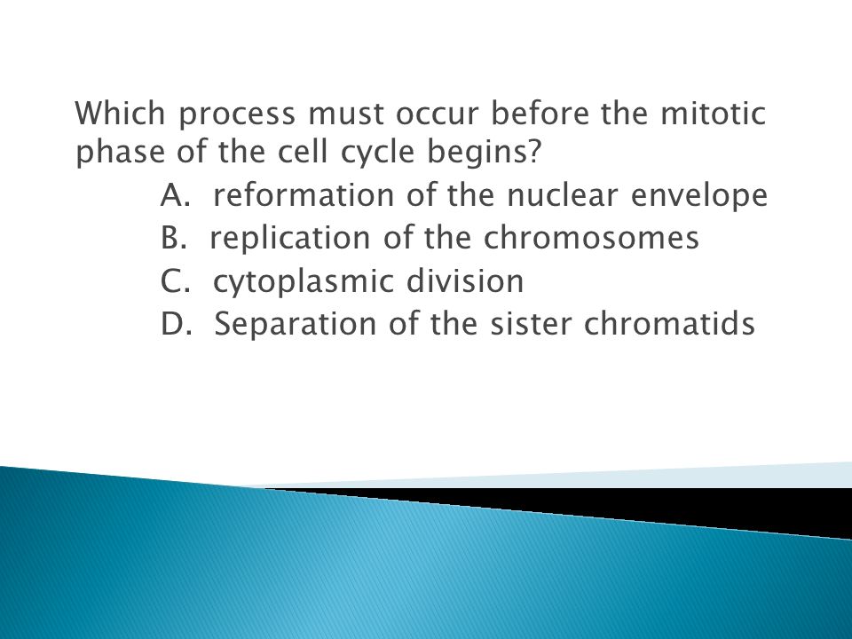 Which process must occur before the mitotic phase of the cell cycle begins.