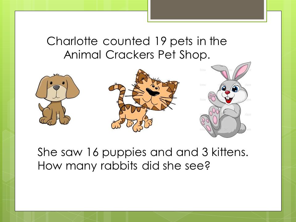 Charlotte counted 19 pets in the Animal Crackers Pet Shop.