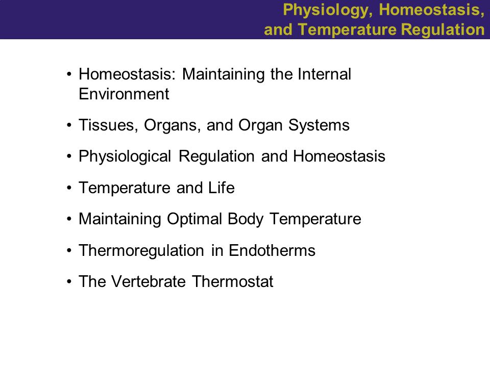 Physiology, Homeostasis, and Temperature Regulation. - ppt download