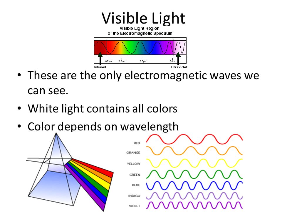 Visible Light These are the only electromagnetic waves we can see.