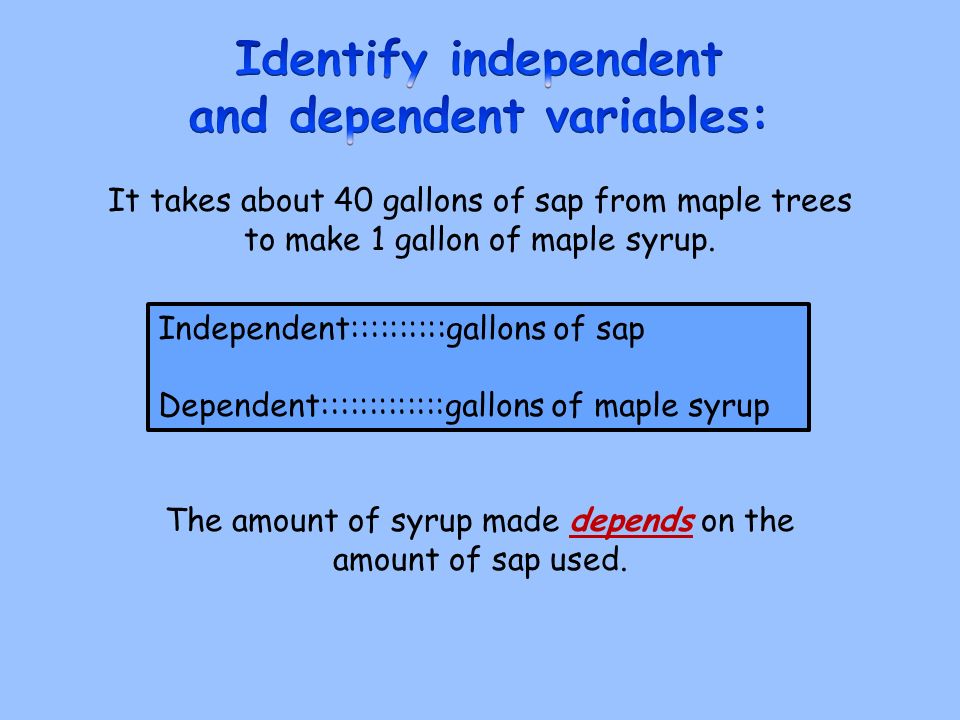 8 It Takes About 40 Gallons Of Sap