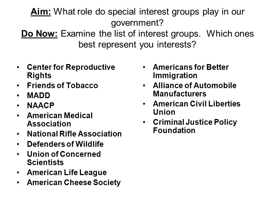 aim what role do special interest groups play in our government do list of special interests