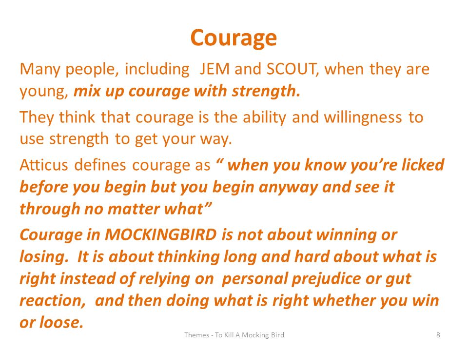 the theme of courage in to kill a mockingbird