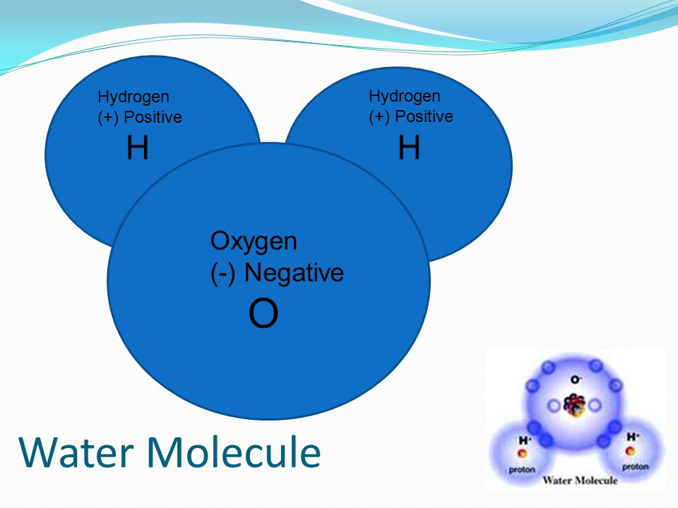 Is Oxygen Positive or Negative?