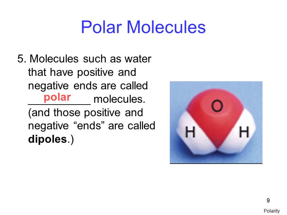 1. 2 Review of Water Basics 1.What is the chemical formula for water ...