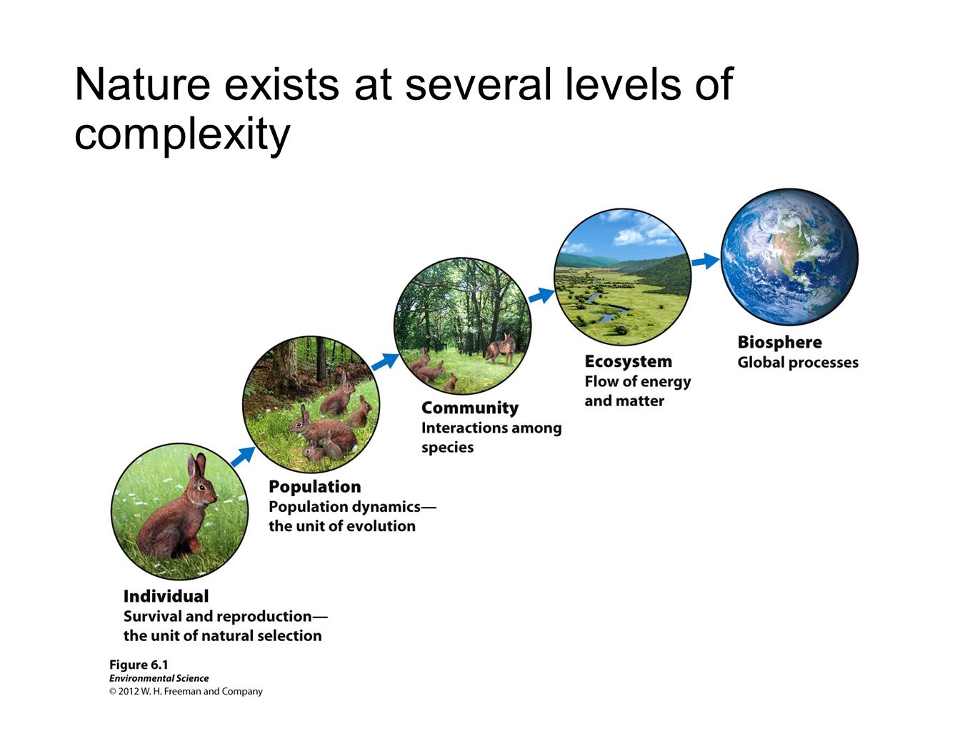 Nature units. Biosphere Evolution. Biosphere ecology. Biosphere ecosystem. Biosphere structure.