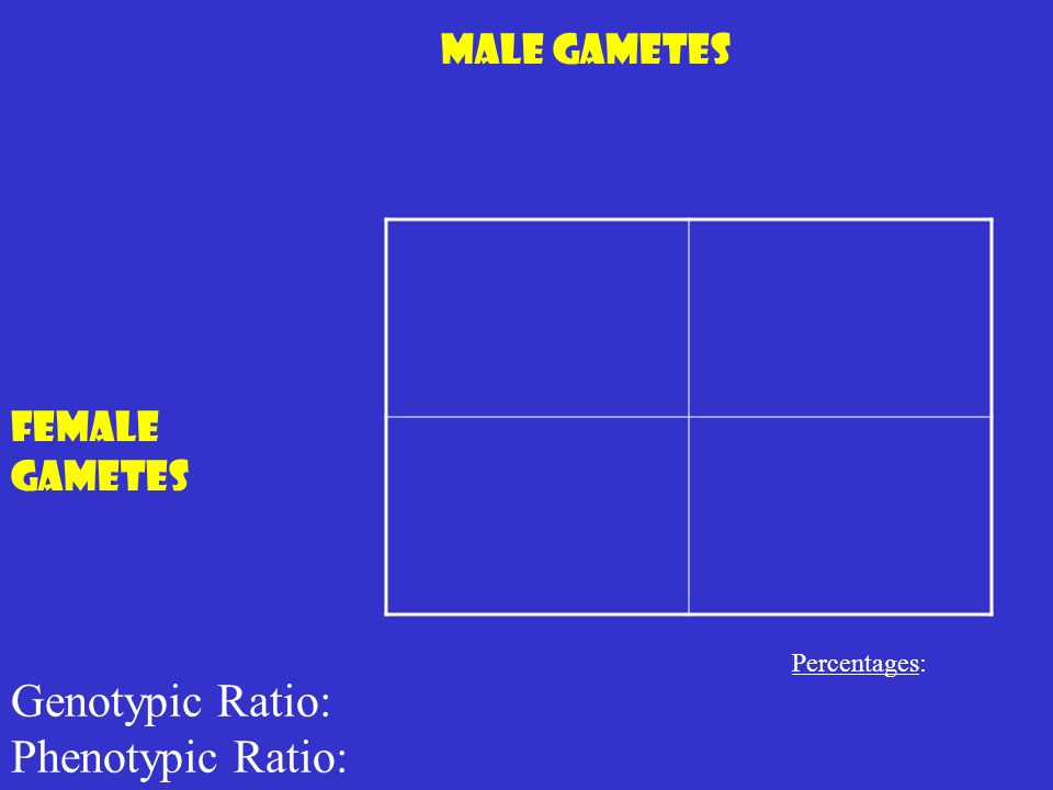 Male Gametes Female Gametes Genotypic Ratio: Phenotypic Ratio: Percentages: