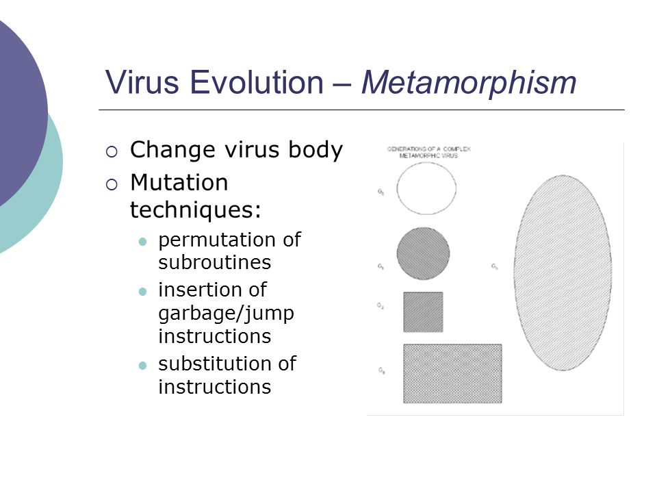 Virus Evolution – Metamorphism  Change virus body  Mutation techniques: permutation of subroutines insertion of garbage/jump instructions substitution of instructions