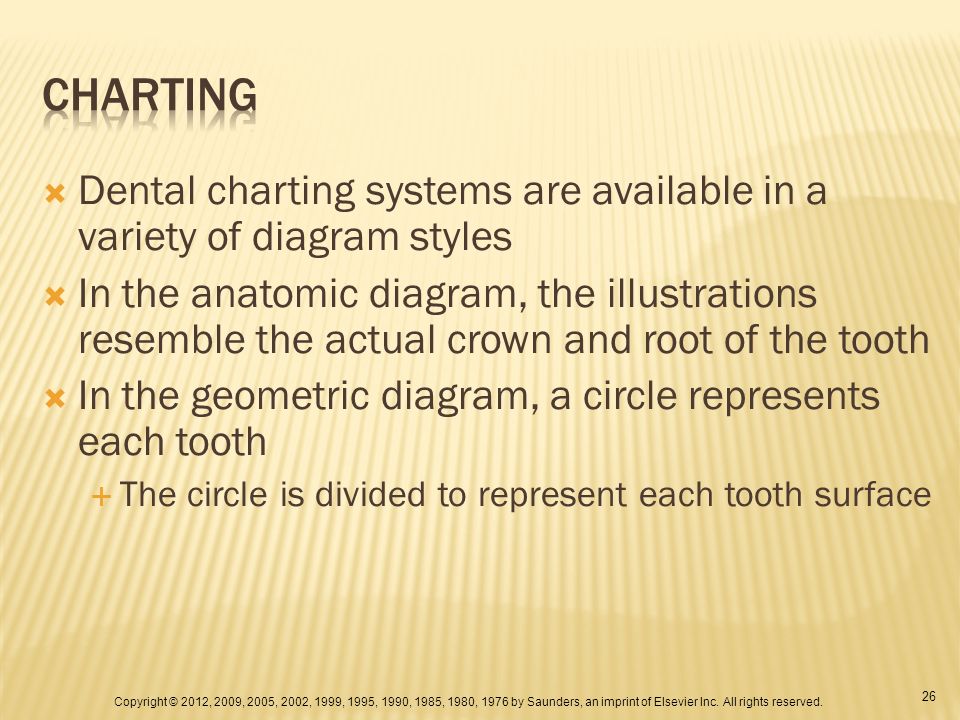 Geometric Diagram Dental Charting