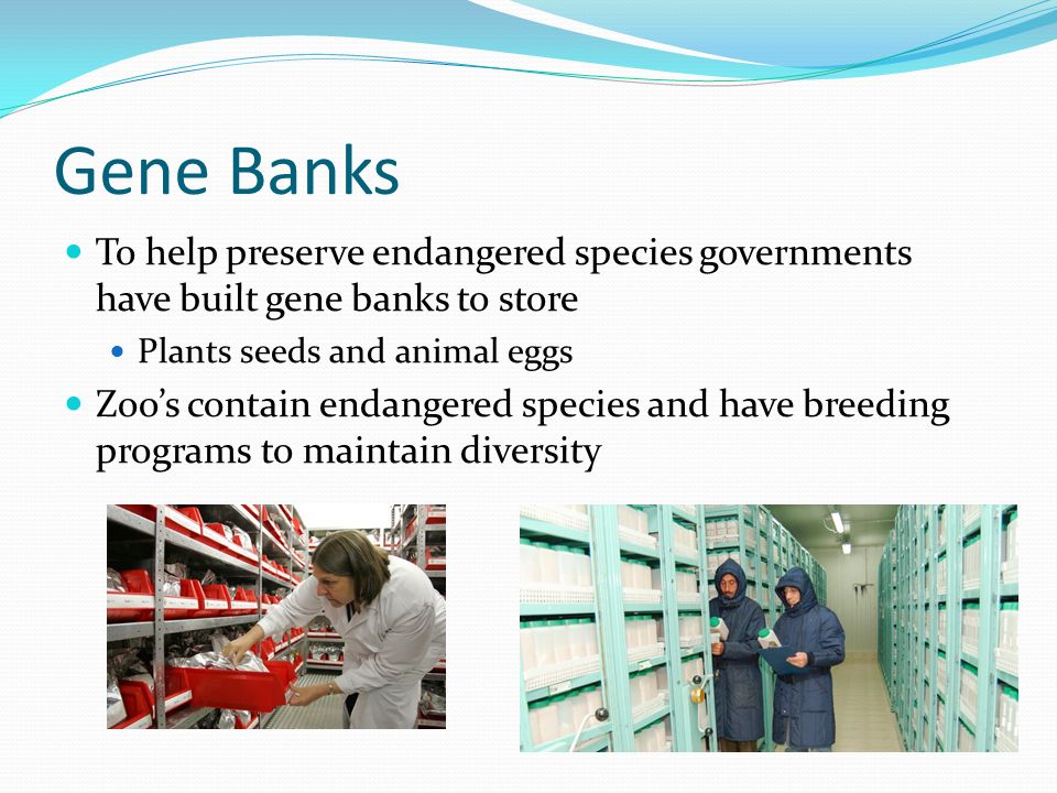 Lesson 8: Role of environment in extinction Importance of biodiversity. -  ppt download